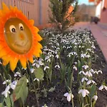 منزل للإقامة Orange House