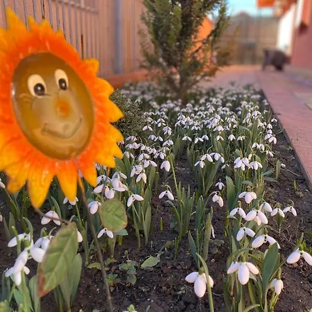 Ubytování v soukromí Orange House