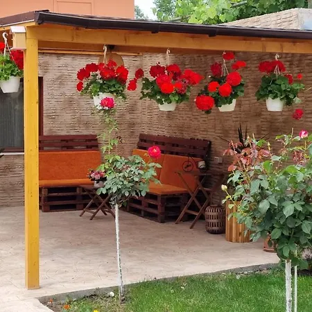 Orange House Constanta Homestay