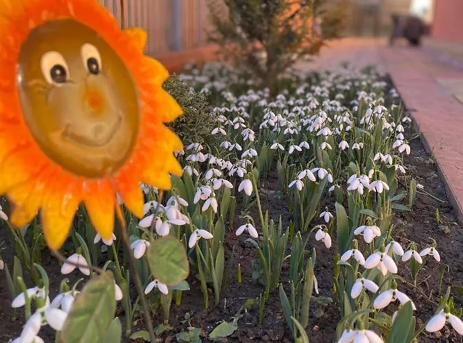 ホームステイ Orange House